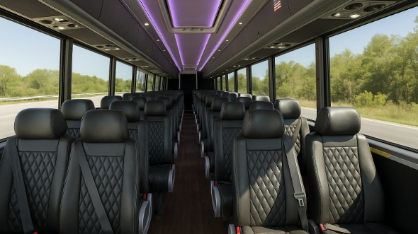 downers grove 18 passenger minibus inside